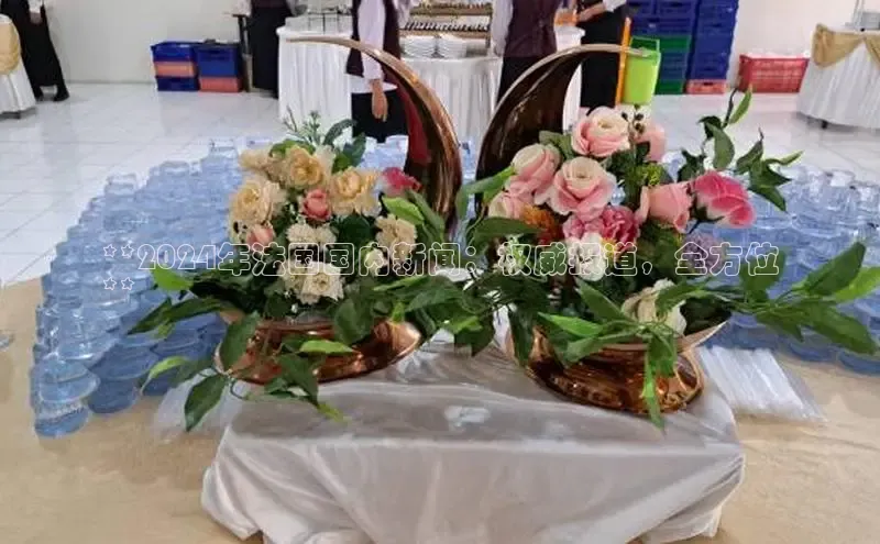 意昂4登录如流**2024年法国国内新闻：权威报道，全方位
**