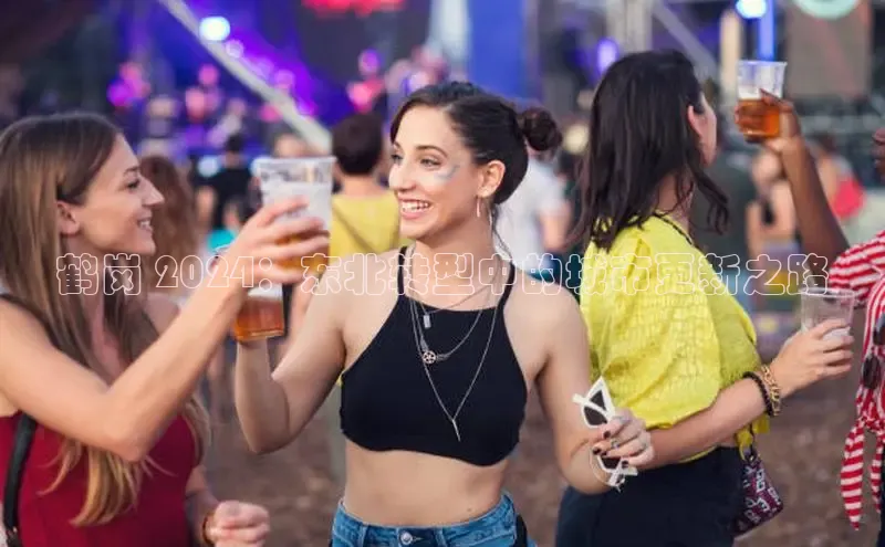 EON4登录极氪智能科技鹤岗 2024：东北转型中的城市更新之路