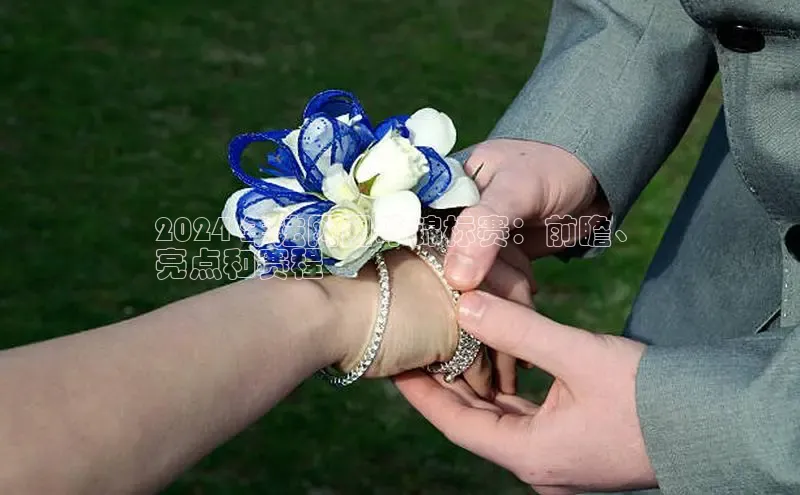 意昂4代理百度翻译App2024 年法网网球锦标赛：前瞻、
亮点和赛程