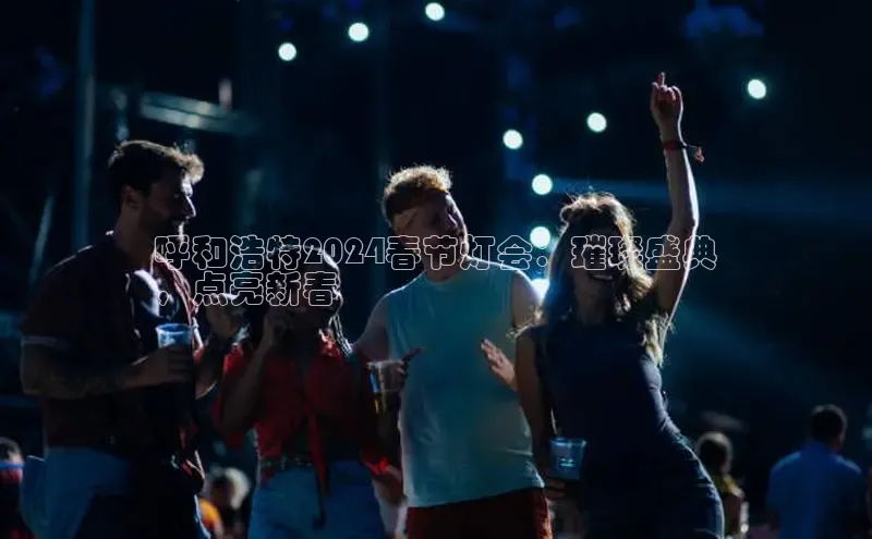 EON4百度移动开放平台呼和浩特2024春节灯会：璀璨盛典
，点亮新春