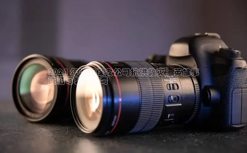 EON4招商诸葛科技2024 年湖南保安公司抗洪救灾：英雄事
迹谱写救援传奇