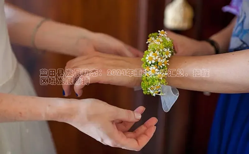 EON4官网百度集团蓝田县发展动态：2024年重大新闻汇总，把握
区域发展脉搏