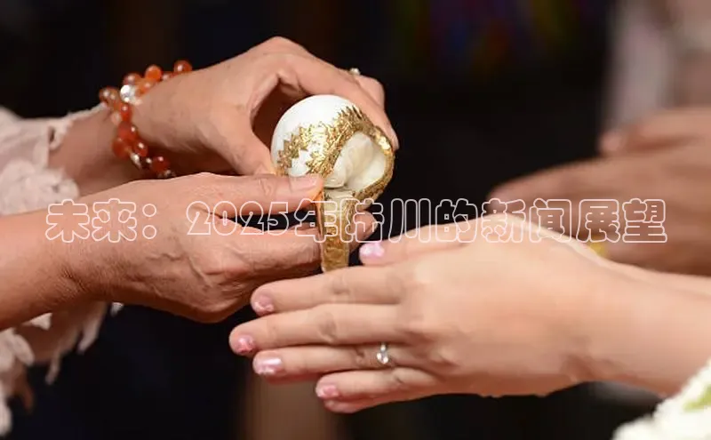 未来：2025年陆川的新闻展望