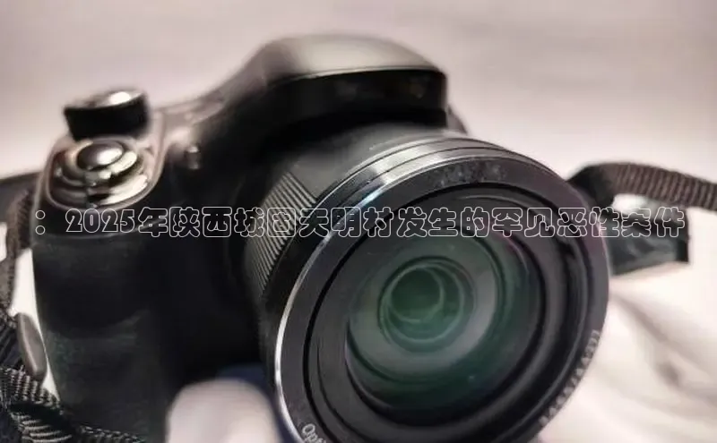 ：2025年陕西城固天明村发生的罕见恶性案件