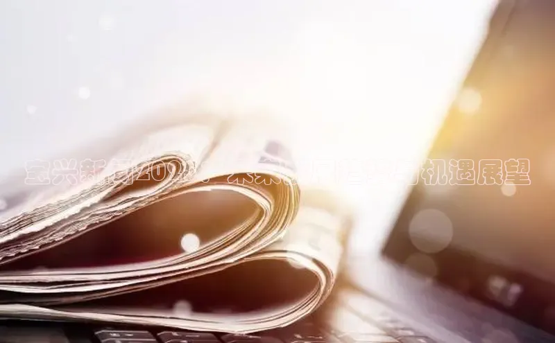 宝兴新闻2025：未来发展趋势与机遇展望