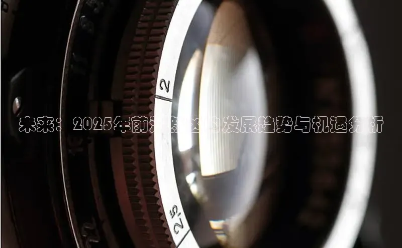 未来：2025年前海新区的发展趋势与机遇分析