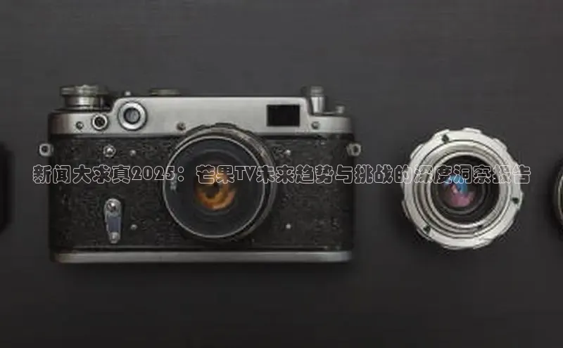新闻大求真2025：芒果TV未来趋势与挑战的深度洞察报告