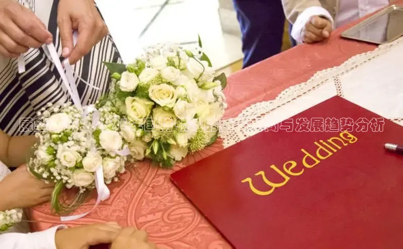 展望未来：2025年国防领域的重大新闻与发展趋势分析