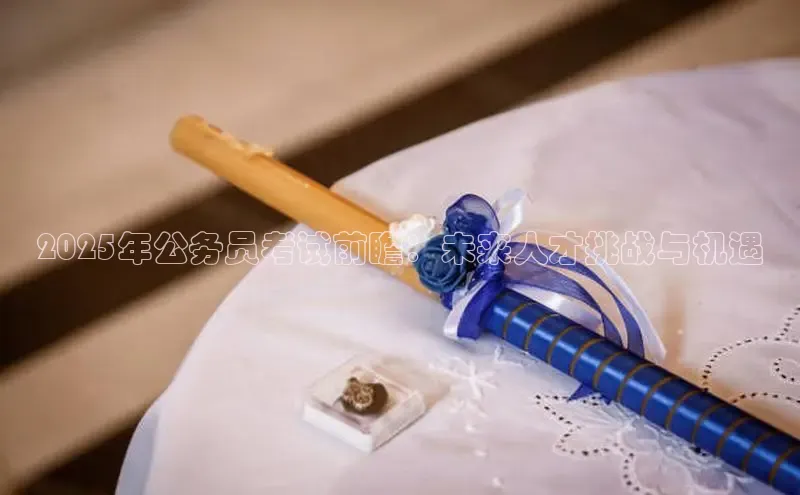 2025年公务员考试前瞻：未来人才挑战与机遇