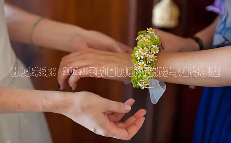 预见未来：2025年的日照新闻概览与趋势展望
