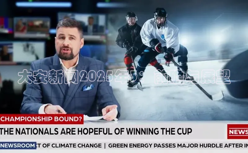 大安新闻2025年3：前瞻与展望