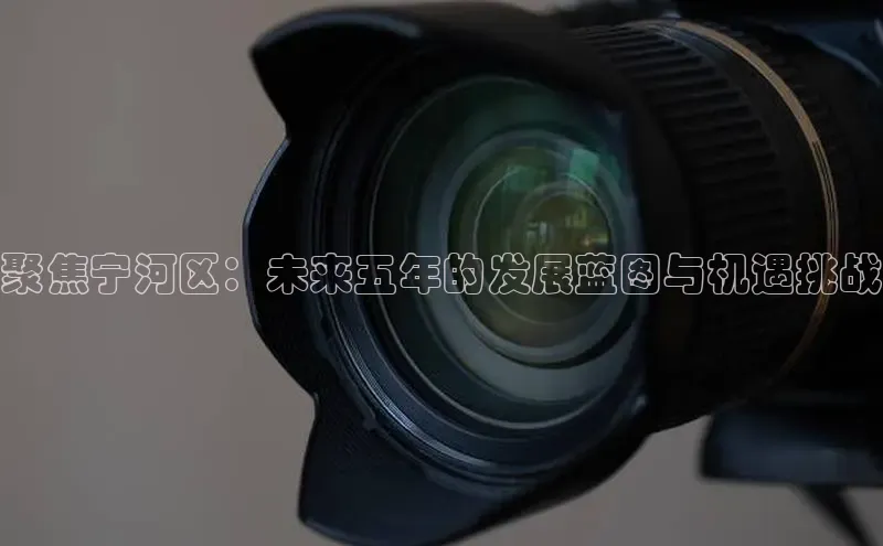 聚焦宁河区：未来五年的发展蓝图与机遇挑战